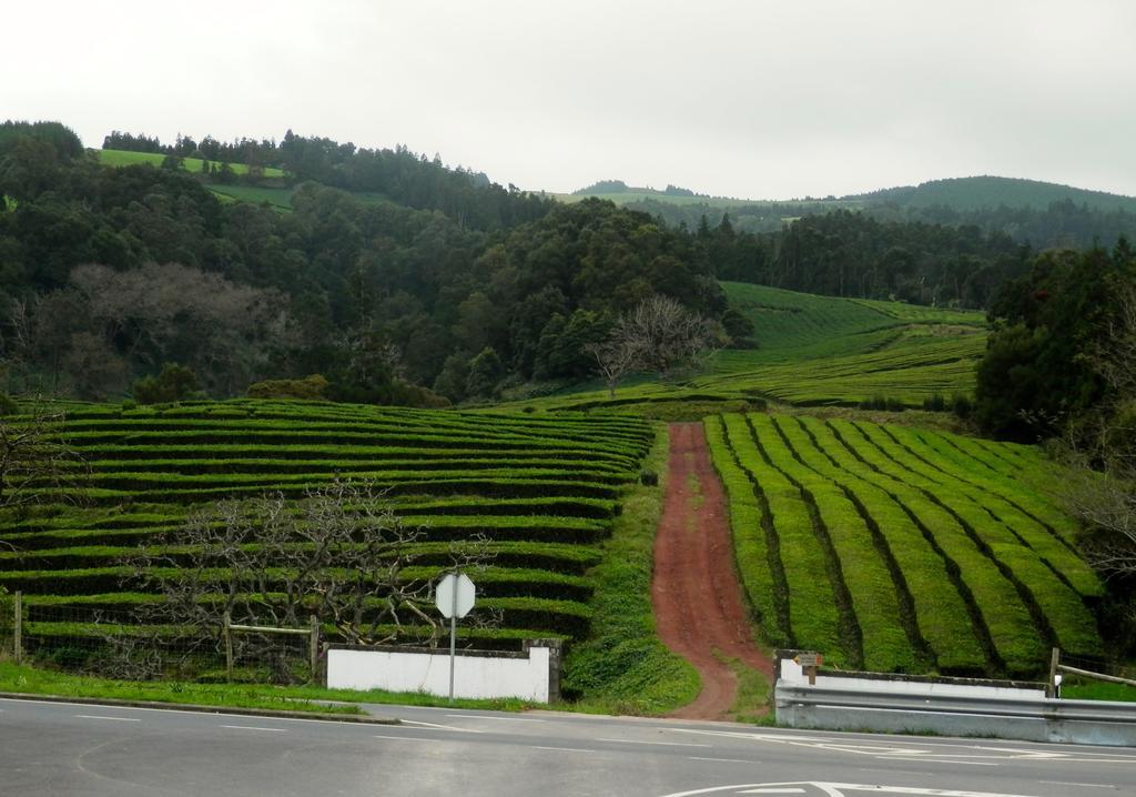 Azorean Sunset Loft Ribeira Grande Luaran gambar